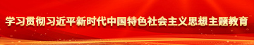 鸡八c逼学习贯彻习近平新时代中国特色社会主义思想主题教育