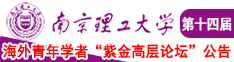 洋人C黑妞南京理工大学第十四届海外青年学者紫金论坛诚邀海内外英才！